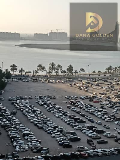 2 Camere Appartamento in affitto a Al Taawun, Sharjah - 3d0f7f5d-645a-4018-89e3-03d0338aec2f. jpeg 2 Camere Appartamento in affitto a Al Taawun, Sharjah - 3d0f7f5d-645a-4018-89e3-03d0338aec2f. jpeg