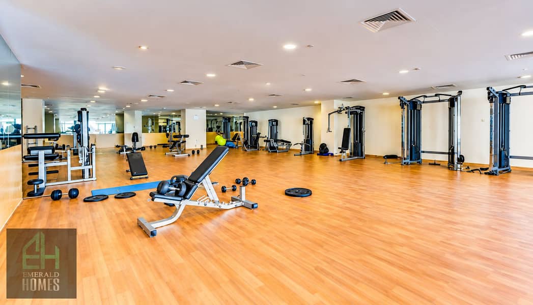 13 Bright Modern Gym Equipment Showcase. png