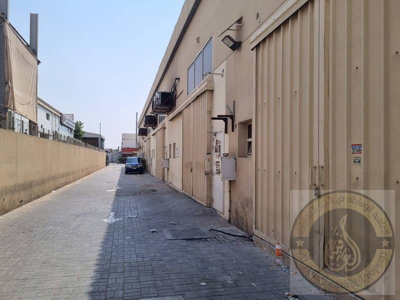 6 WhatsApp Image 2025-09-08 at 14.09. 40_45da61fd. jpg
