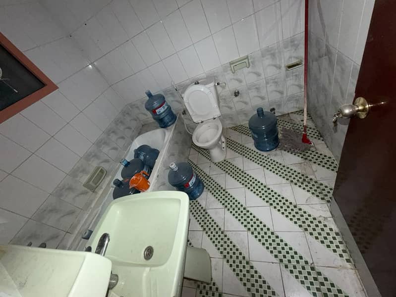3 11213. jpg
