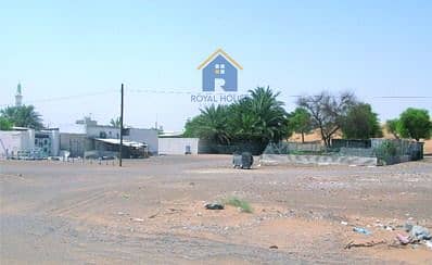 2 WhatsApp Image 2026-10-10 at 10.09. 10 AM. jpeg