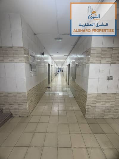 سكن عمال للايجار في الجرف، عجمان - WhatsApp Image 2026-10-09 at 5.57. 12 AM (1). jpeg سكن عمال للايجار في الجرف، عجمان - WhatsApp Image 2026-10-09 at 5.57. 12 AM (1). jpeg