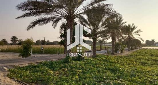 Plot in vendita a Al Bahia, Abu Dhabi - zcczxxx. JPG