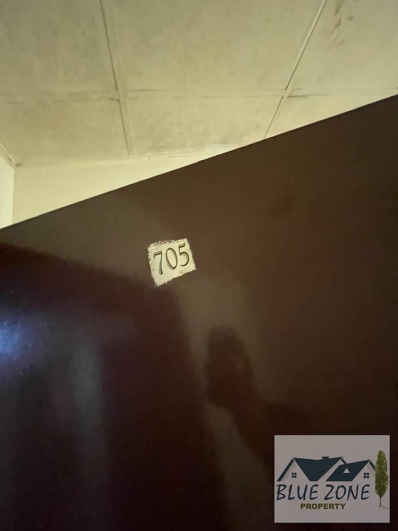 5 1000440650. jpg