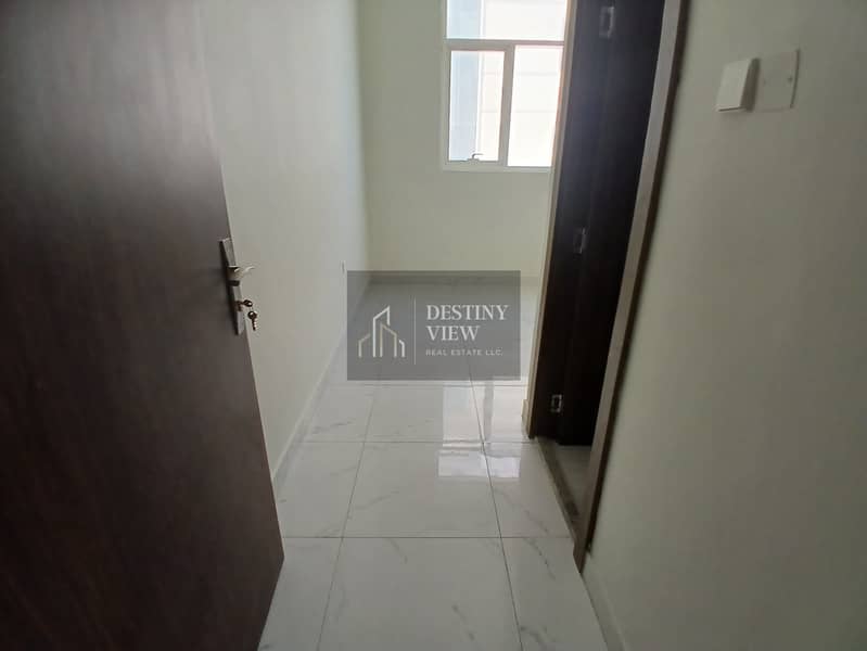 11 123380. jpg