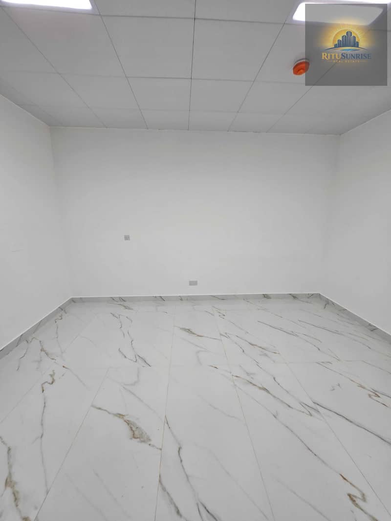 3 1000130972. jpg