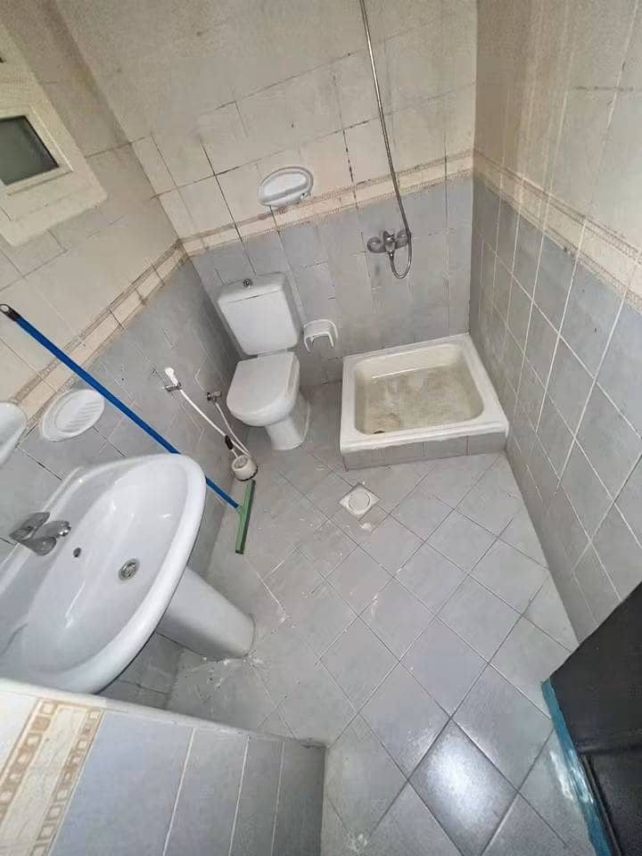 6 23346. jpg