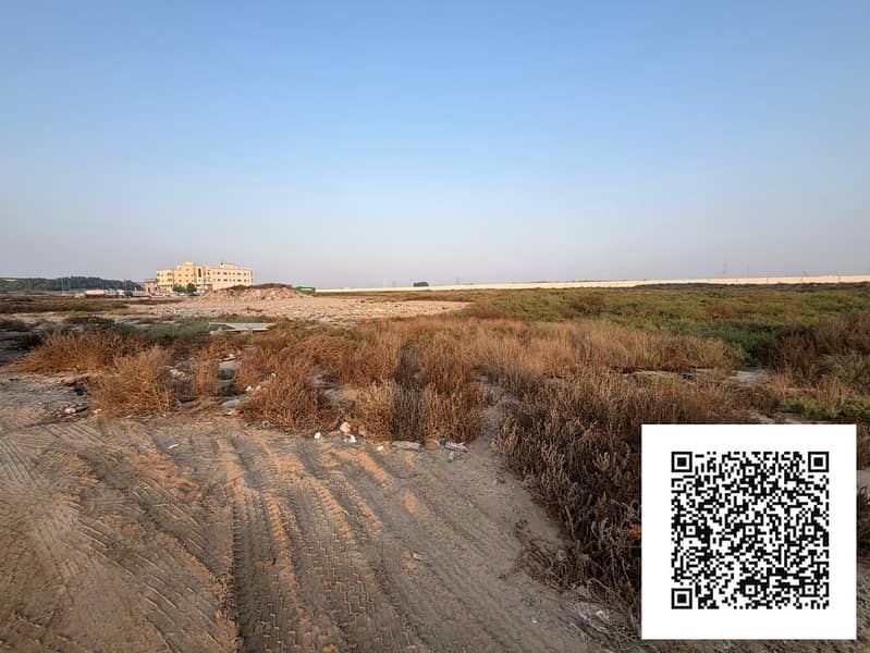 3 WhatsApp Image 2026-10-12 at 10.47. 01 AM (2). jpeg