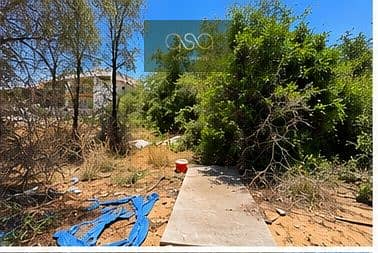 2 image_03. jpg