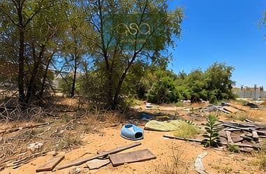4 image_05. jpg