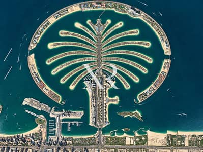 Plot for Sale in Palm Jebel Ali, Dubai - ChatGPT Image Oct 12, 2026, 01_10_54 PM-3. png