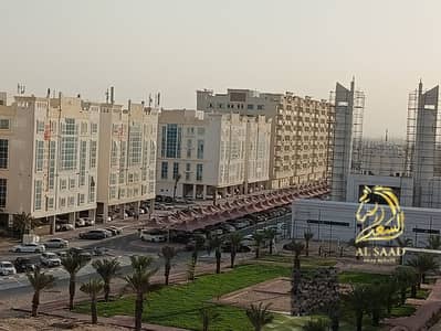 Studio zum Verkauf in Al Yasmeen, Ajman - WhatsApp Image 2026-10-12 at 1.07. 01 AM (1). jpeg Studio zum Verkauf in Al Yasmeen, Ajman - WhatsApp Image 2026-10-12 at 1.07. 01 AM (1). jpeg