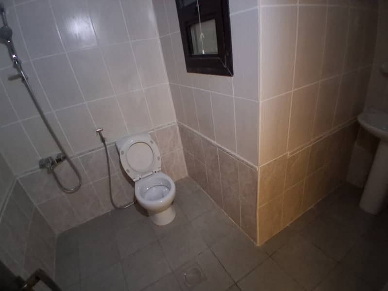 8 23623. jpg