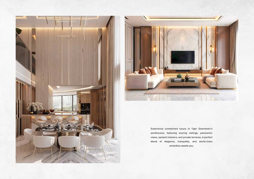 20 Digital Brochure_Tiger Downtown_Tiger Properties (compressed)_page-0055. jpg
