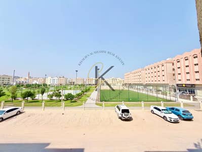 استوديو للايجار في تجارية مويلح، الشارقة - IMG_3933. jpg استوديو للايجار في تجارية مويلح، الشارقة - IMG_3933. jpg