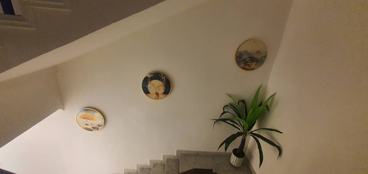 13 20260929_121751. jpg