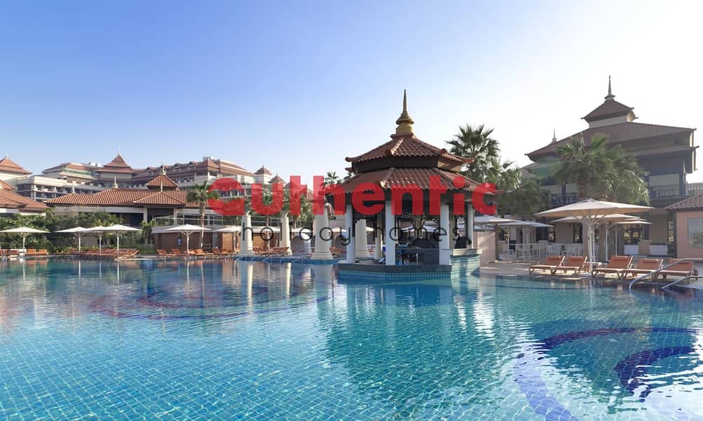 22 pool 3. jpg