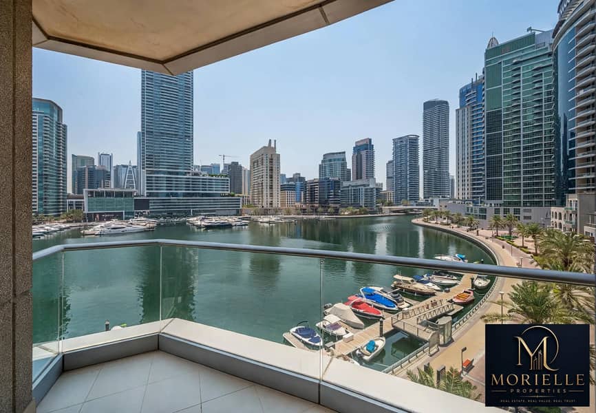 5 image_408f14-edited. jpg