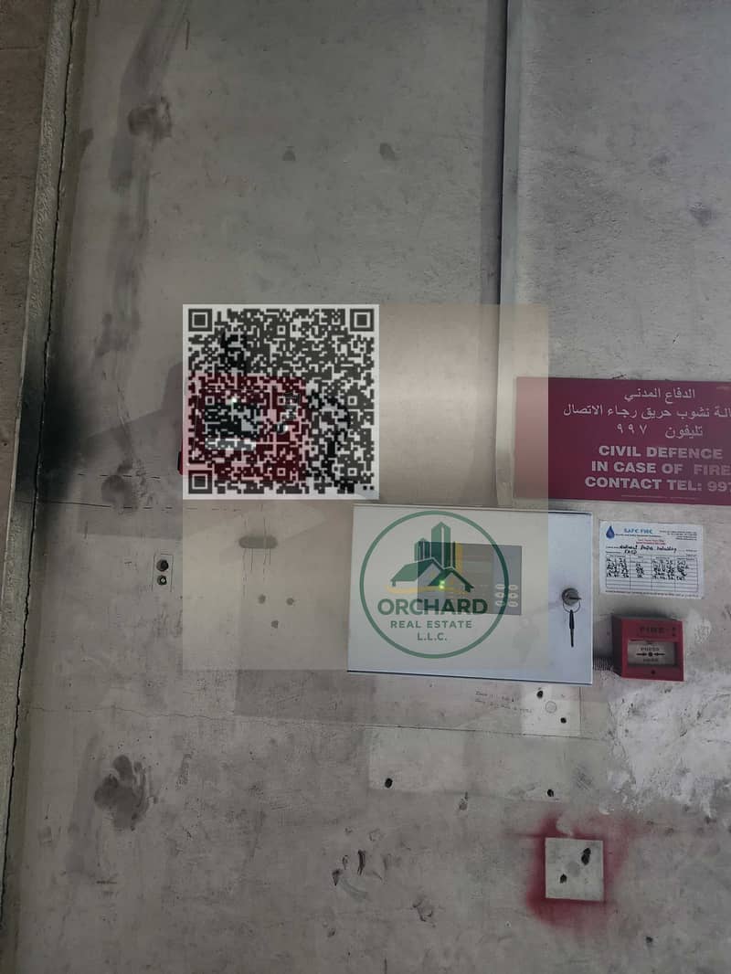 8 20260430_184345. jpg