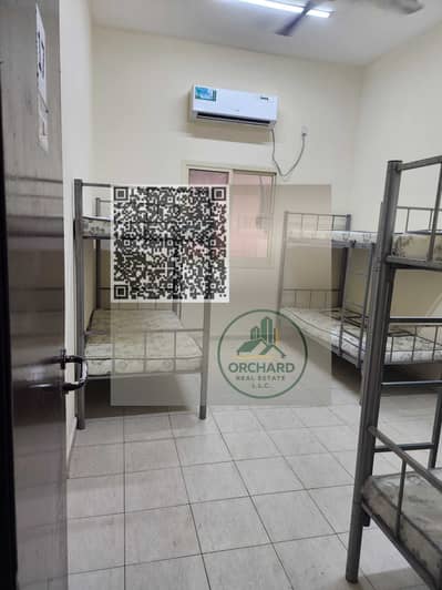 سكن عمال للايجار في الجرف، عجمان - 20260425_181929. jpg سكن عمال للايجار في الجرف، عجمان - 20260425_181929. jpg