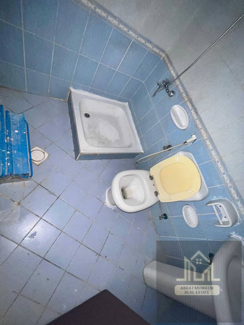 4 152494. jpg