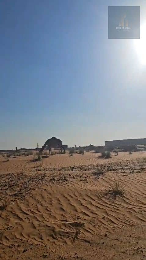 6 WhatsApp Video 2026-09-18 at 4.33. 17 PM. 00_00_17_24. Still016. jpg