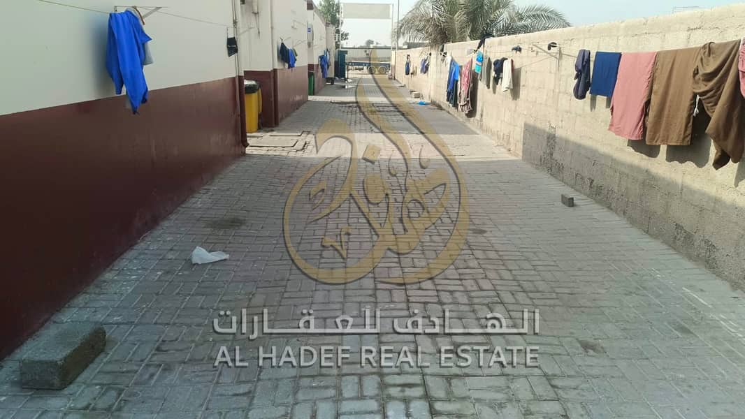 WhatsApp Image 2026-10-11 at 14.29. 55 (1). jpeg WhatsApp Image 2026-10-11 at 14.29. 55 (1). jpeg