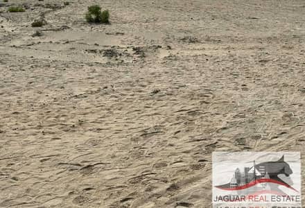 Plot in vendita a Dubai Land Residence Complex (DLRC), Dubai - be4a3e75-1529-4122-abd9-b15131faec69. jpg Plot in vendita a Dubai Land Residence Complex (DLRC), Dubai - be4a3e75-1529-4122-abd9-b15131faec69. jpg