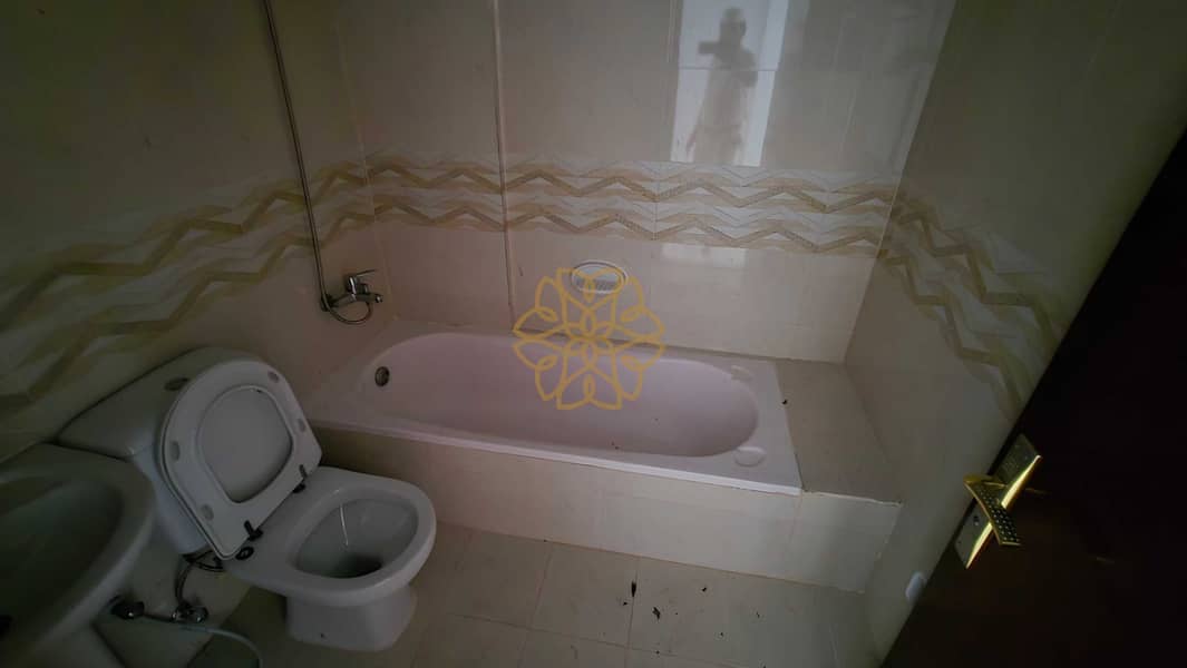 3 64979. jpg
