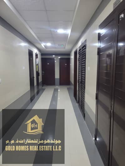 10+ Beds Building for Sale in Al Rawda, Ajman - WhatsApp Image 2026-08-30 at 6.12. 01 AM. jpeg 10+ Beds Building for Sale in Al Rawda, Ajman - WhatsApp Image 2026-08-30 at 6.12. 01 AM. jpeg