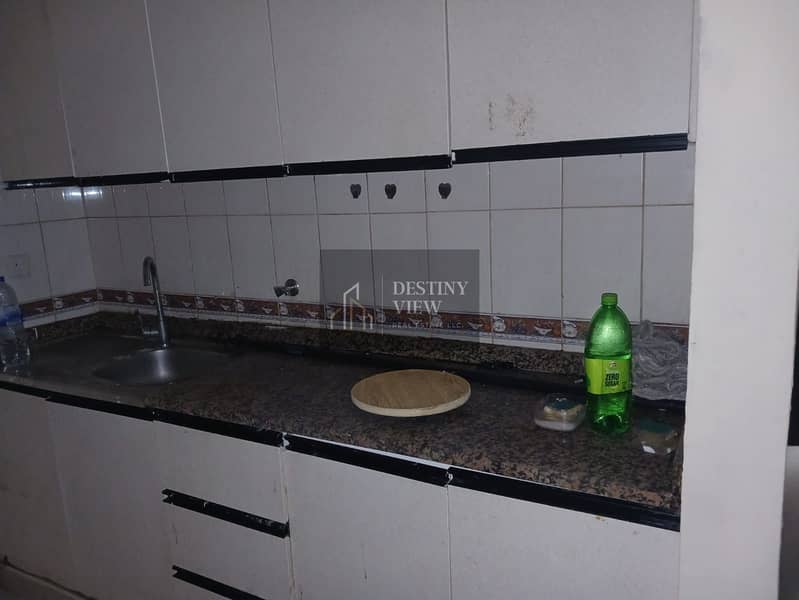 6 183666. jpg
