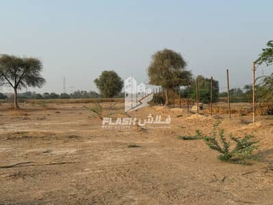 Mixed Use Land for Sale in Al Mukawwrah, Ras Al Khaimah - 6. jpeg