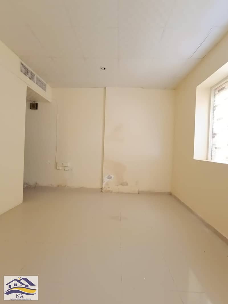 3 17505. jpg