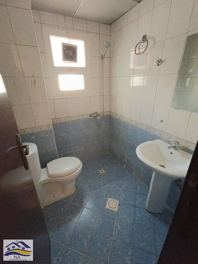5 17507. jpg