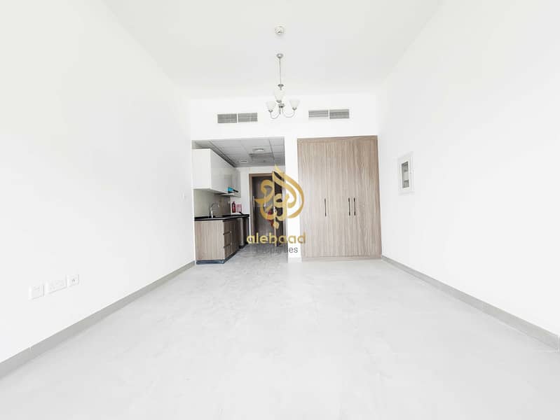 1BR Apartment | Carthage | Downtown City View | Unfurnished