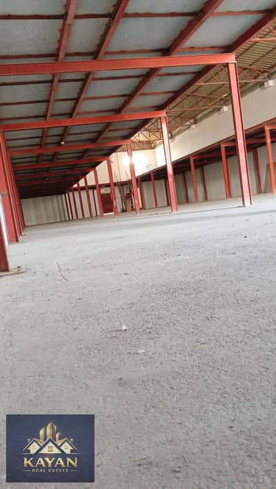 Warehouse for Rent in Umm Al Thuoob, Umm Al Quwain - WhatsApp Image 2026-10-11 at 1.09. 37 PM (1). jpeg Warehouse for Rent in Umm Al Thuoob, Umm Al Quwain - WhatsApp Image 2026-10-11 at 1.09. 37 PM (1). jpeg