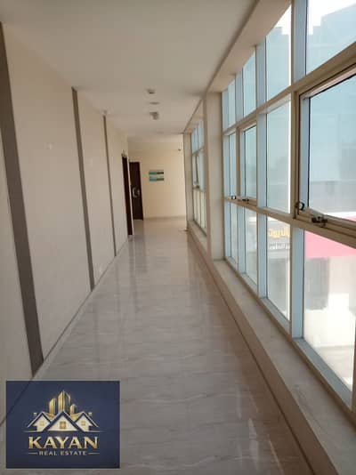 Office for Rent in Al Rass, Umm Al Quwain - WhatsApp Image 2026-02-20 at 9.44. 43 PM. jpeg