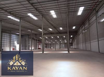 Warehouse in affitto a Umm Al Thuoob, Umm Al Quwain - WhatsApp Image 2026-03-14 at 10.10. 43 PM. jpeg
