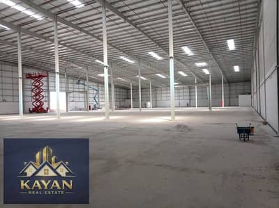 Warehouse for Rent in Umm Al Thuoob, Umm Al Quwain - WhatsApp Image 2026-03-14 at 10.10. 40 PM. jpeg