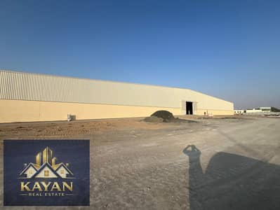 Warehouse for Rent in Umm Al Thuoob, Umm Al Quwain - WhatsApp Image 2026-07-03 at 8.24. 06 PM (4). jpeg Warehouse for Rent in Umm Al Thuoob, Umm Al Quwain - WhatsApp Image 2026-07-03 at 8.24. 06 PM (4). jpeg