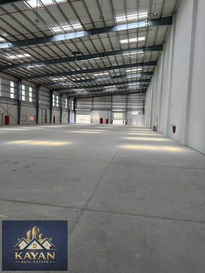 Warehouse for Rent in Umm Al Thuoob, Umm Al Quwain - WhatsApp Image 2026-03-05 at 3.17. 41 PM. jpeg Warehouse for Rent in Umm Al Thuoob, Umm Al Quwain - WhatsApp Image 2026-03-05 at 3.17. 41 PM. jpeg
