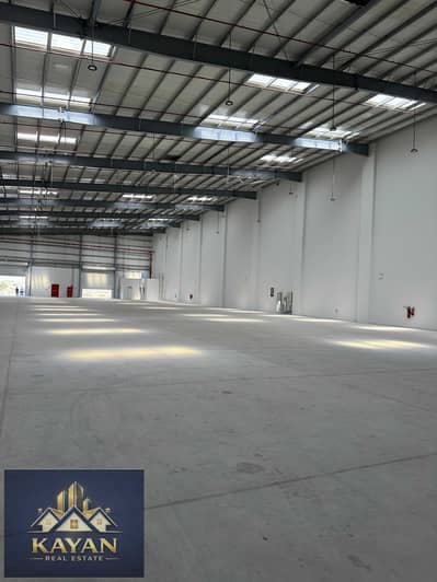 Warehouse in affitto a Umm Al Thuoob, Umm Al Quwain - WhatsApp Image 2026-03-05 at 3.17. 45 PM (1). jpeg