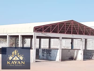 Mixed Use Land for Rent in Umm Al Thuoob, Umm Al Quwain - WhatsApp Image 2026-01-09 at 9.50. 13 AM. jpeg