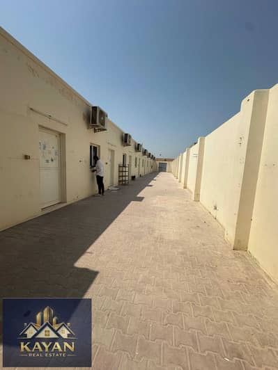 Bulk Unit for Rent in Al Maqtaa, Umm Al Quwain - WhatsApp Image 2026-09-17 at 8.44. 47 PM. jpeg Bulk Unit for Rent in Al Maqtaa, Umm Al Quwain - WhatsApp Image 2026-09-17 at 8.44. 47 PM. jpeg
