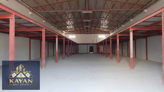 Warehouse te Huur in Umm Al Thuoob, Umm Al Quwain - WhatsApp Image 2026-10-11 at 1.09. 37 PM. jpeg Warehouse te Huur in Umm Al Thuoob, Umm Al Quwain - WhatsApp Image 2026-10-11 at 1.09. 37 PM. jpeg