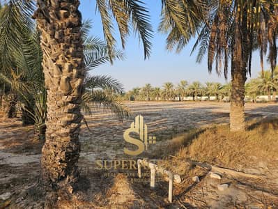 Mixed Use Land zum Verkauf in Muwaylih, Abu Dhabi - WhatsApp Image 2026-10-14 at 13.17. 120. jpeg