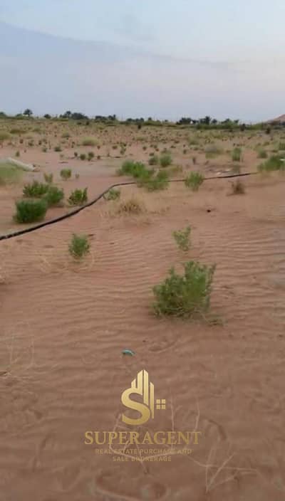 Plot for Sale in Al Shamkha, Abu Dhabi - WhatsApp Image 2024-09-04 at 13.51. 37_7ab44a3a. jpg
