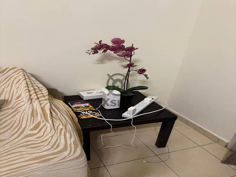 12 WhatsApp Image 2026-10-14 at 15.32. 24 (1). jpeg