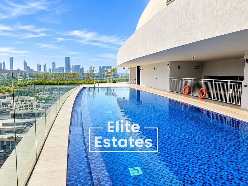 18 Rooftop Infinity Pool and City Skyline. png