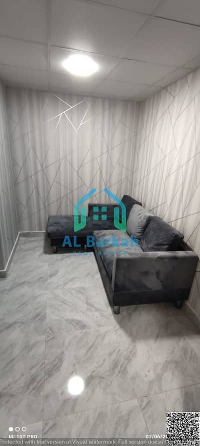 8 Schlafzimmer Villa zum Verkauf in Al Rashidiya, Ajman - WhatsApp Image 2026-10-14 at 4.20. 46 PM. jpeg 8 Schlafzimmer Villa zum Verkauf in Al Rashidiya, Ajman - WhatsApp Image 2026-10-14 at 4.20. 46 PM. jpeg